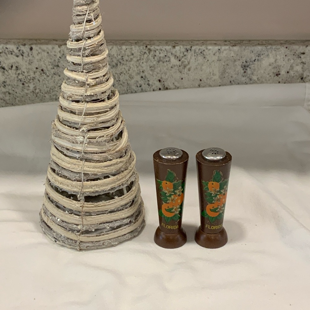 Vintage Florida Souvenir Salt and Pepper Shakers